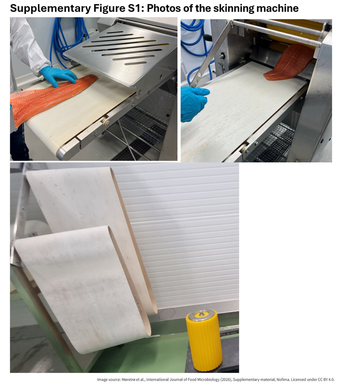 Photo of skinning machine at a fish processing facility - Nofima