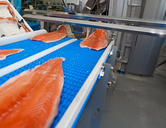 Seafood processing plant and equipment