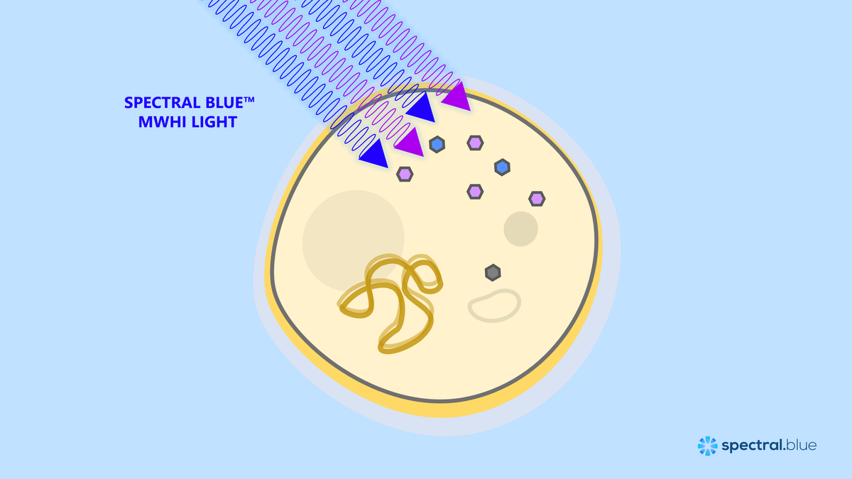 Blue Color Spectrium Science and articles – Spectral Blue by LED Tailor
